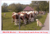 Discussion devant la ferme de Cessay 