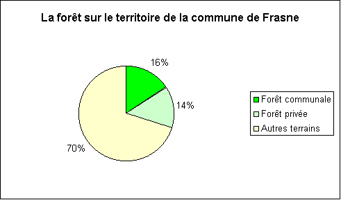 La forêt à Frasne