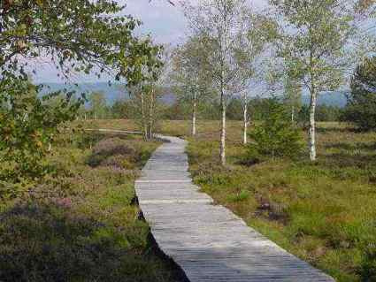 L'ancien sentier de découverte