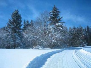 Les pistes de ski de fond à Frasne