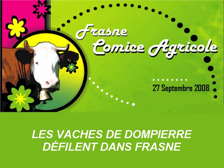 Des photos du défilé des vaches de Dompierre dans le village