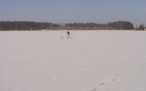 Ski sur l'étang gelé