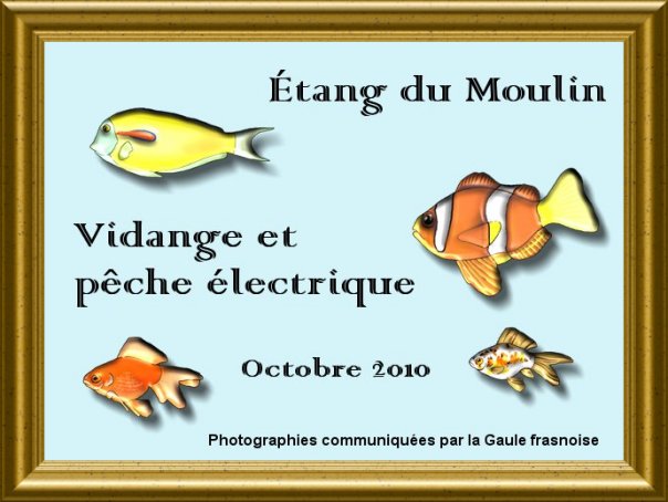 Vidange et peche  l'tang du Moulin en octobre 2010
