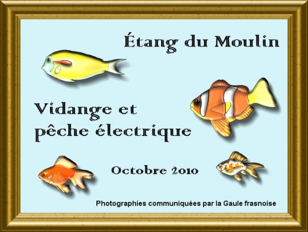 Vidange et peche � l'�tang du Moulin en octobre 2010