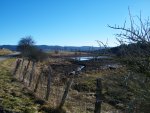 L'tang du Moulin assch le 16 janvier 2011.