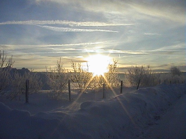 Novembre 2007