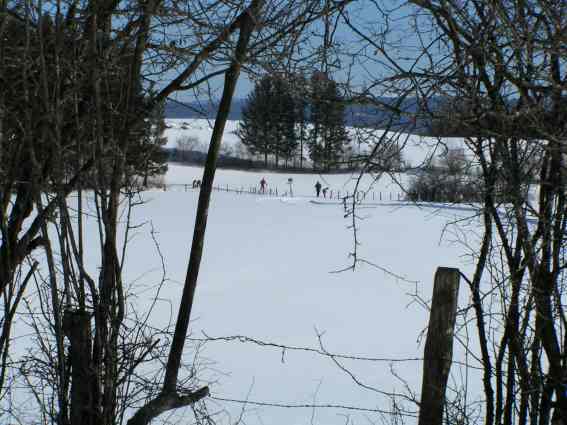 Neige et étang à Frasne (Doubs)