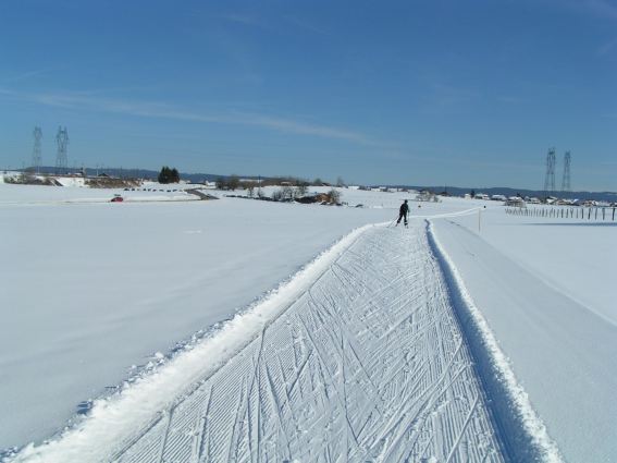 Neige et étang à Frasne (Doubs)