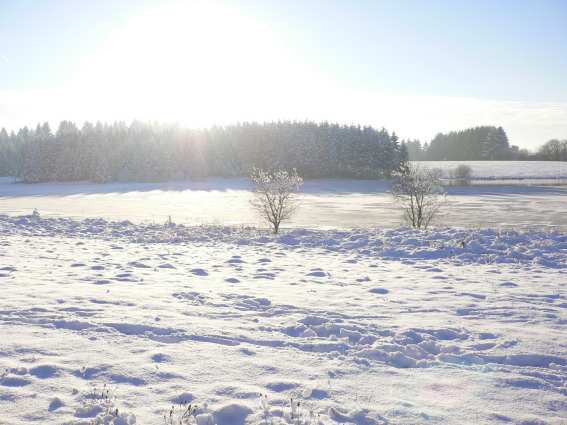 Neige et étang à Frasne (Doubs)