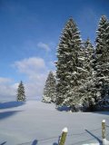 Sur les pistes de ski à Frasne (Doubs)