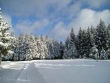 Sur les pistes de ski à Frasne (Doubs)