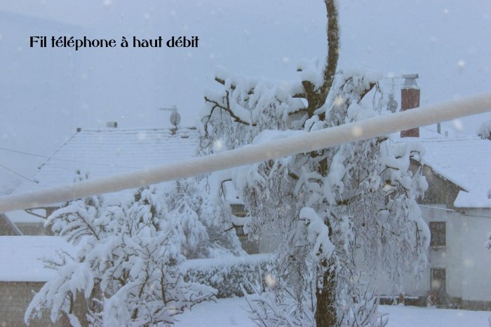 De la neige autour d'un fil tlphonique