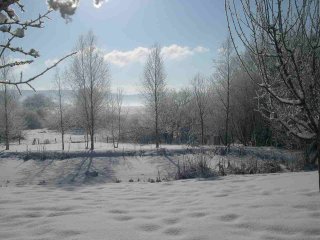 L'étang en hiver