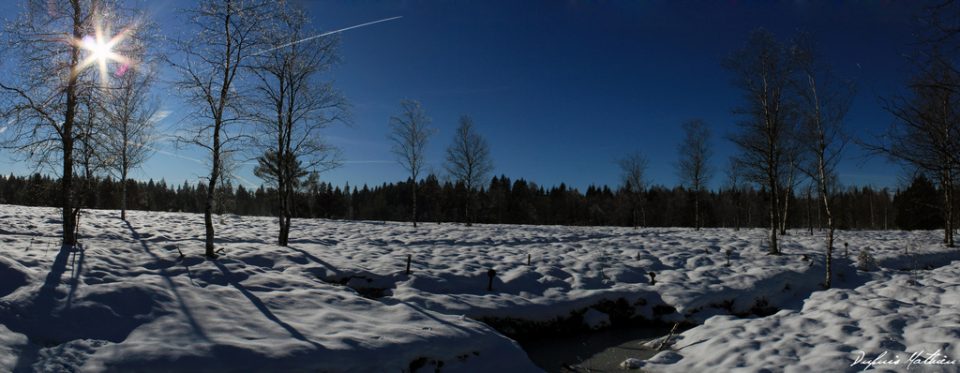 Vue panoramique des tourbires de Frasne