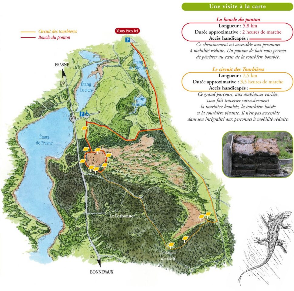 Plan de la visite de la R&eacute;serve naturelle r&eacute;gionale des tourbi&egrave;res de Frasne (Doubs)